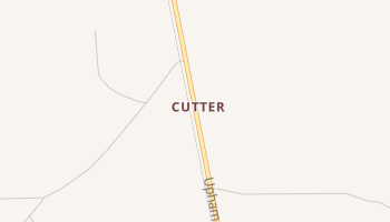 Cutter, New Mexico map