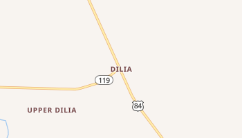Dilia, New Mexico map