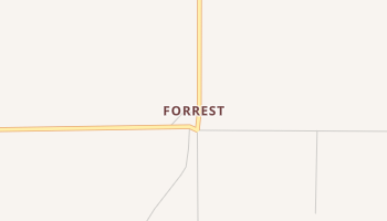 Forrest, New Mexico map