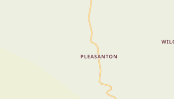 Pleasanton, New Mexico map