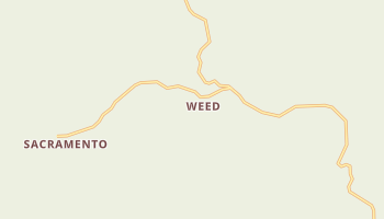 Weed, New Mexico map