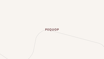Pequop, Nevada map