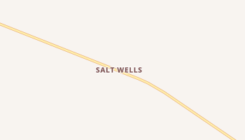 Salt Wells, Nevada map