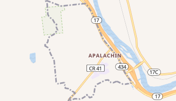 Apalachin, New York map