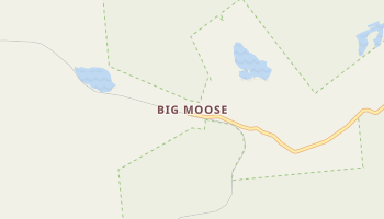 Big Moose, New York map