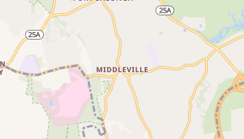 Middleville, New York map