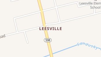 Leesville, Ohio map