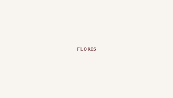 Floris, Oklahoma map