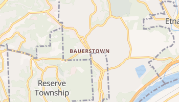 Bauerstown, Pennsylvania map