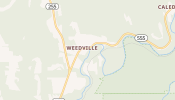 Weedville, Pennsylvania map