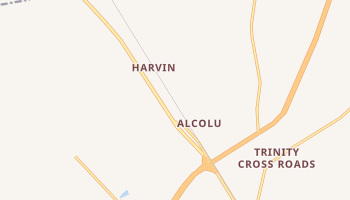 Alcolu, South Carolina map