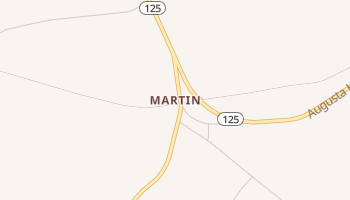 Martin, South Carolina map