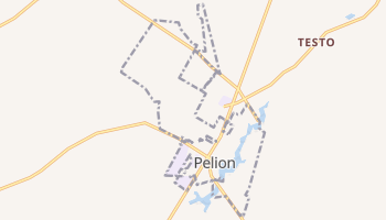 Pelion, South Carolina map