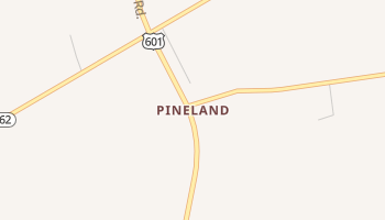 Pineland, South Carolina map