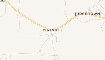Pineville, South Carolina map
