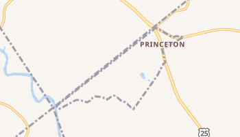 Princeton, South Carolina map