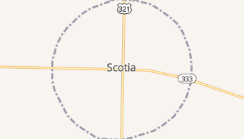Scotia, South Carolina map
