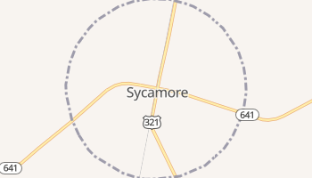Sycamore, South Carolina map