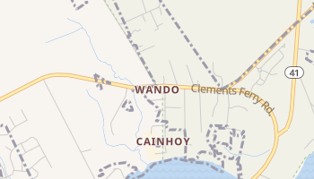 Wando, South Carolina map