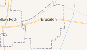 Bruceton, Tennessee map