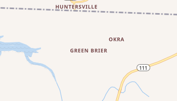 Green Brier, Tennessee map