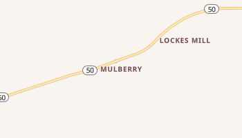 Mulberry, Tennessee map
