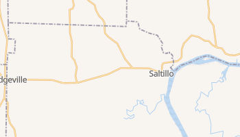 Saltillo, Tennessee map