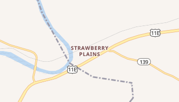 Strawberry Plains, Tennessee map