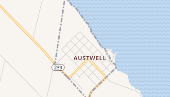 Austwell, Texas map