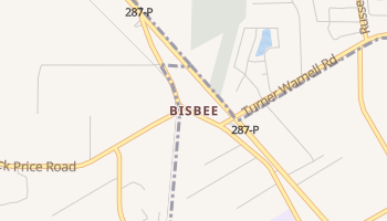 Bisbee, Texas map