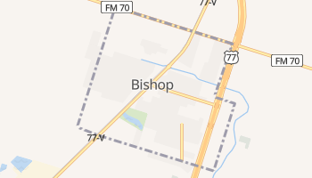 Bishop, Texas map