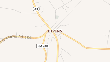 Bivins, Texas map