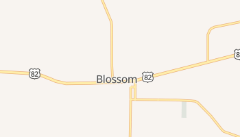 Blossom, Texas map