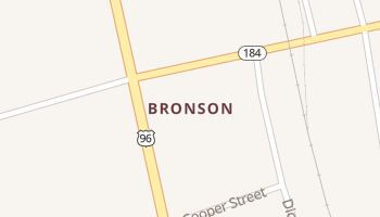 Bronson, Texas map