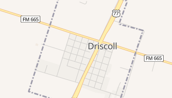 Driscoll, Texas map