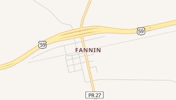 Fannin, Texas map