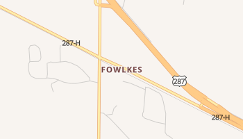 Fowlkes, Texas map