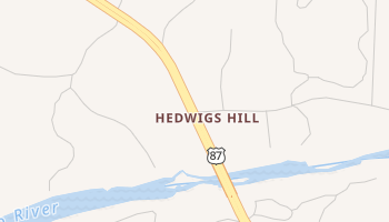Hedwigs Hill, Texas map