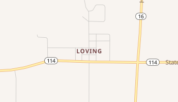 Loving, Texas map