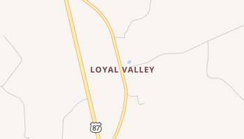 Loyal Valley, Texas map