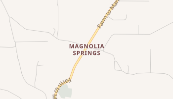 Magnolia Springs, Texas map