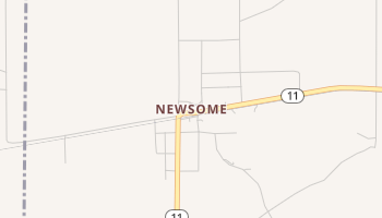 Newsome, Texas map