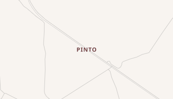 Pinto, Texas map