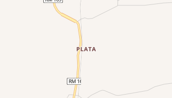 Plata, Texas map