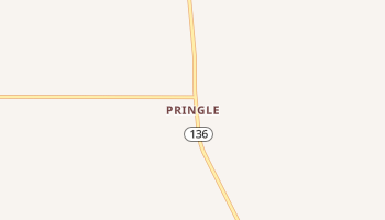 Pringle, Texas map
