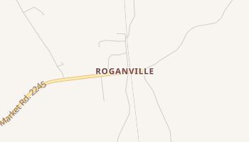 Roganville, Texas map