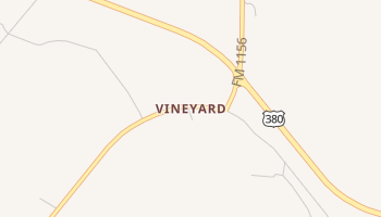 Vineyard, Texas map