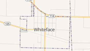 Whiteface, Texas map