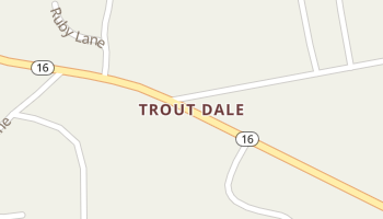 Trout Dale, Virginia map