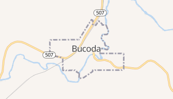 Bucoda, Washington map